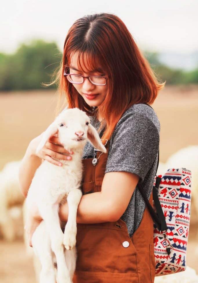 Wild Oak Therapeuitc Farm Teen Therapy Wild Oak Therapeuitc Farm Teen Therapy