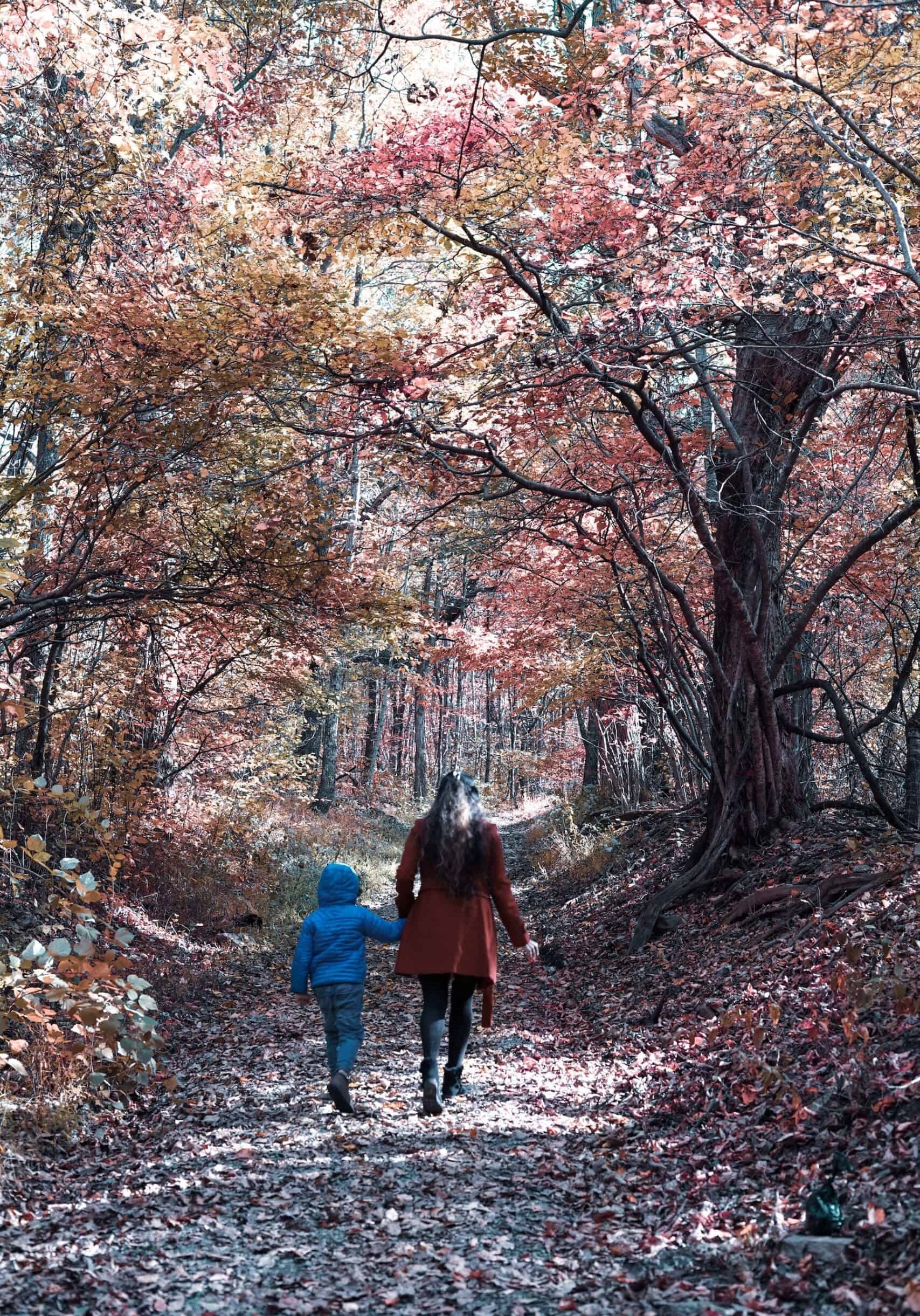 Wild Oak Therapeutic Farm Parent Coaching Wild Oak Therapeutic Farm Parent Coaching