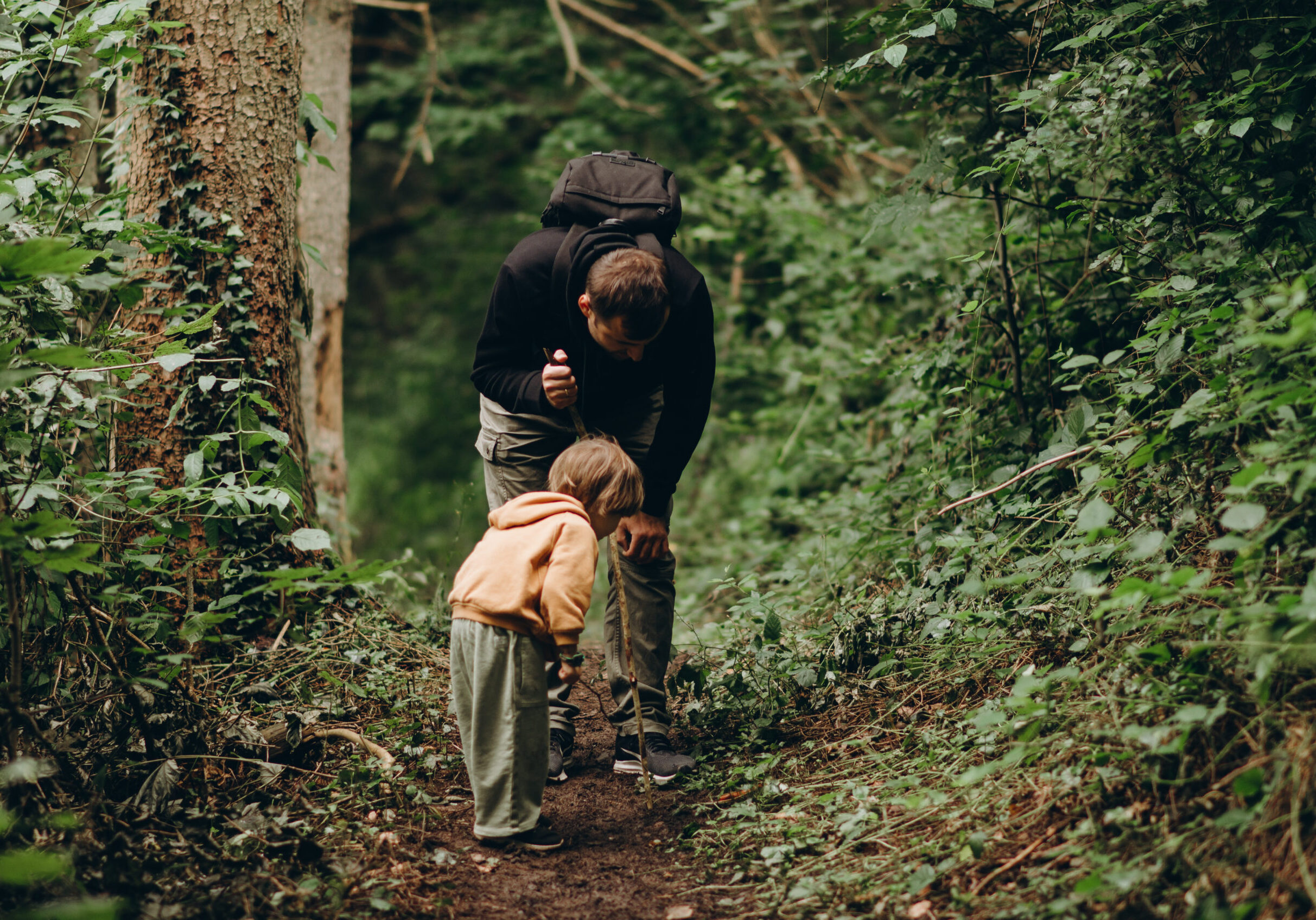 Photo taken in Zweibrücken, Germany